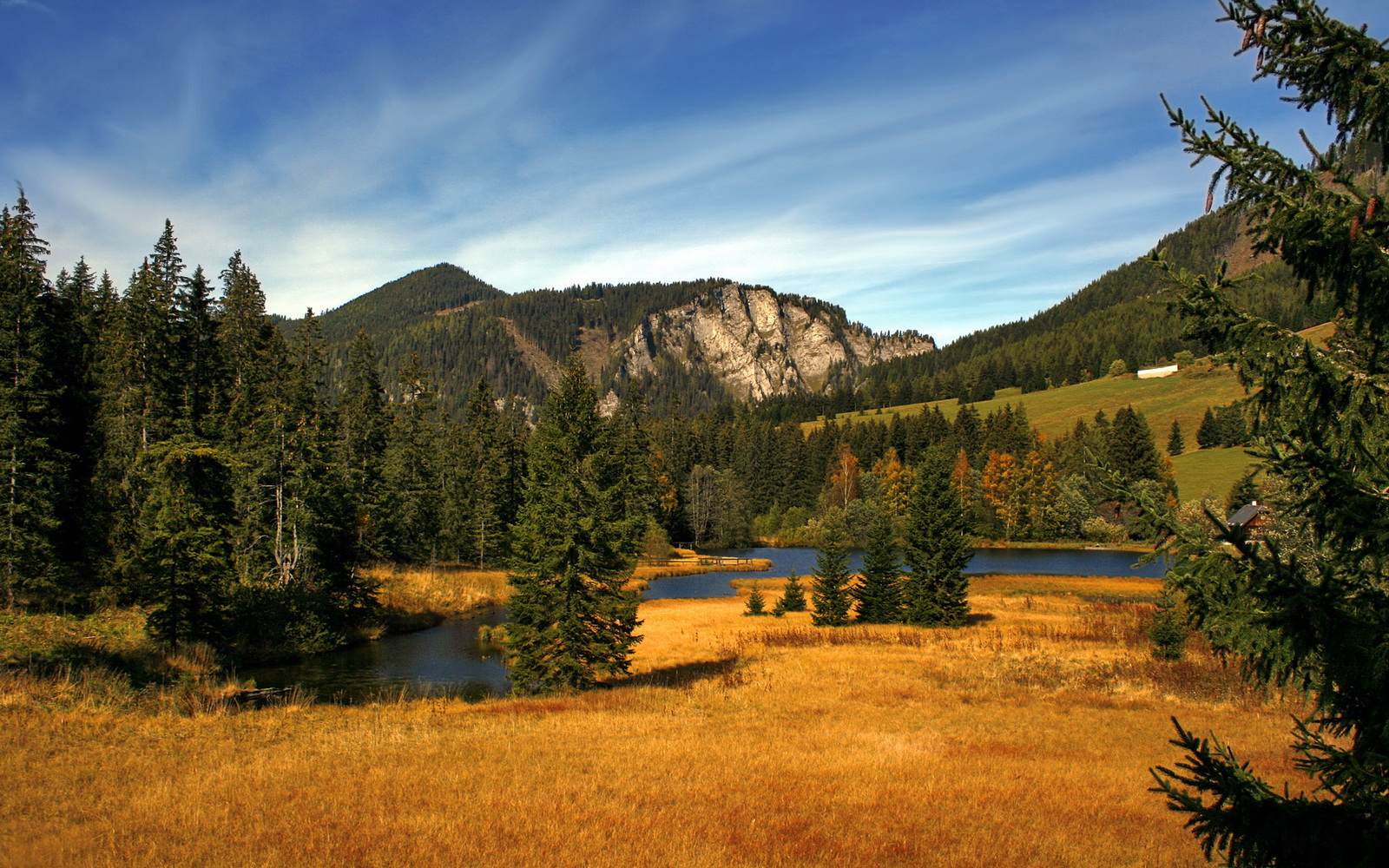 戈麦斯双响，斗牛士军团奏响全控交响乐，一场被重新定义的压制美学