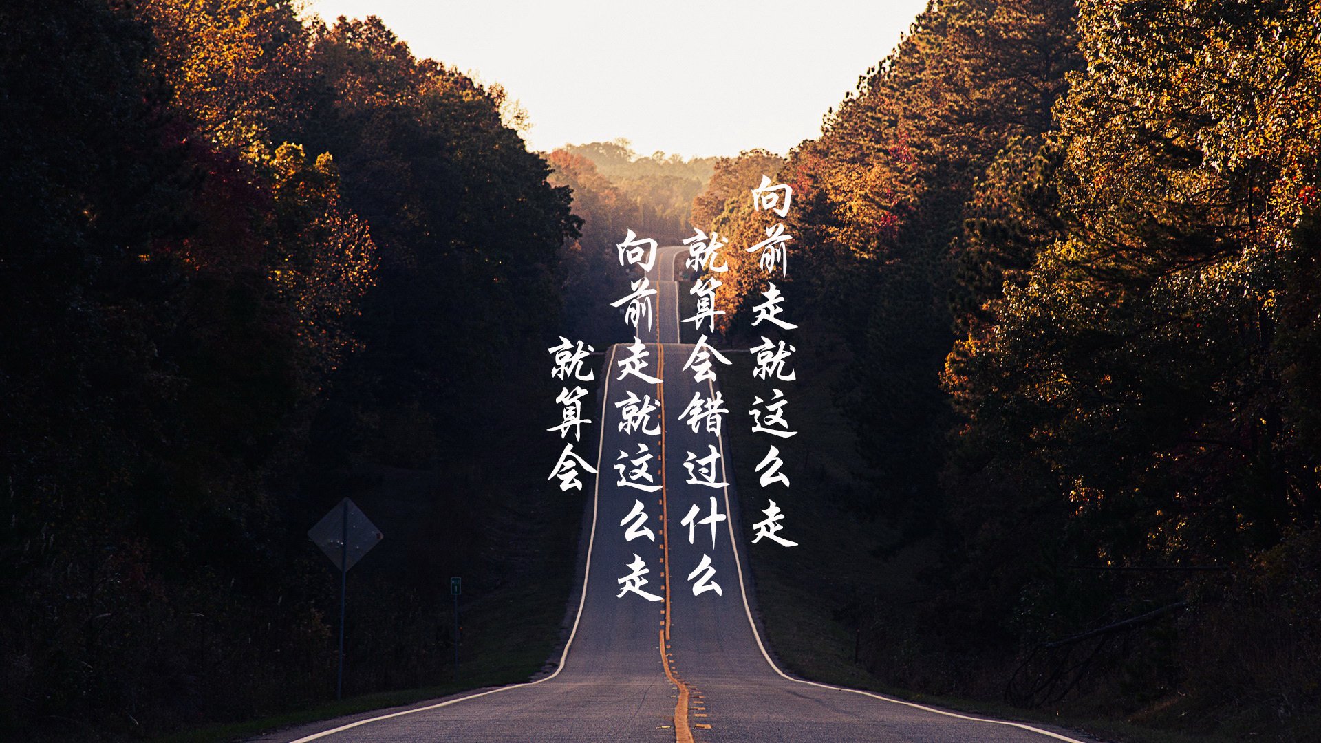 枫叶之韧与黑星之耀，2026世界杯，维尼修斯刺穿加纳的唯一性战场